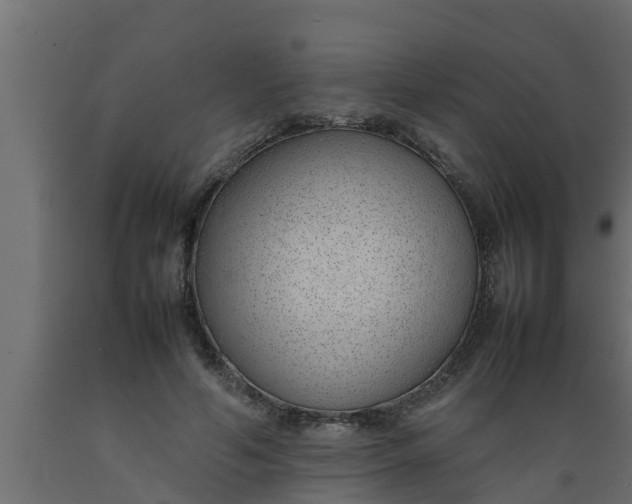 X0000089460594200707061305