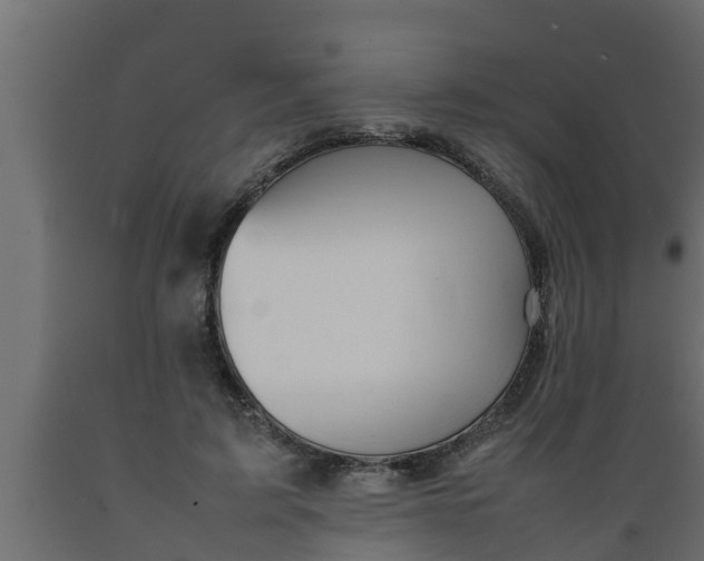 X0000089460595200707061304