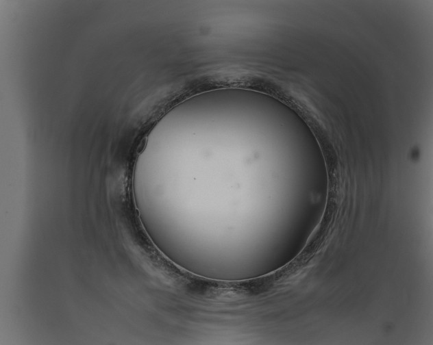 X0000089460597200707061304