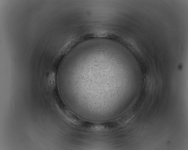 X0000089460598200707061304