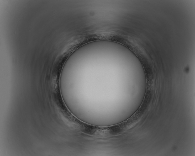 X0000089460599200707061304