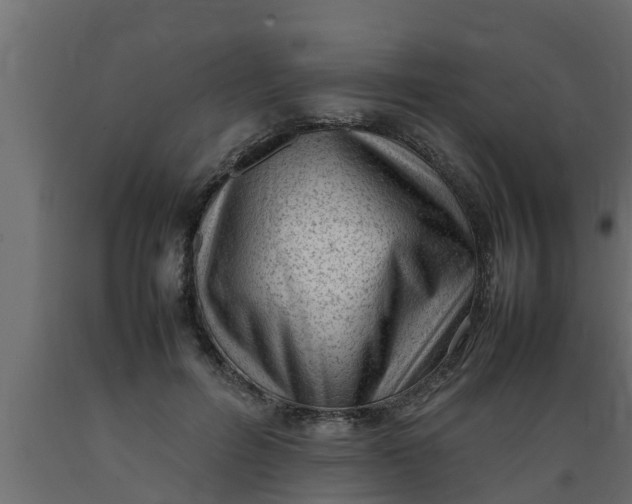 X0000089460600200707061304