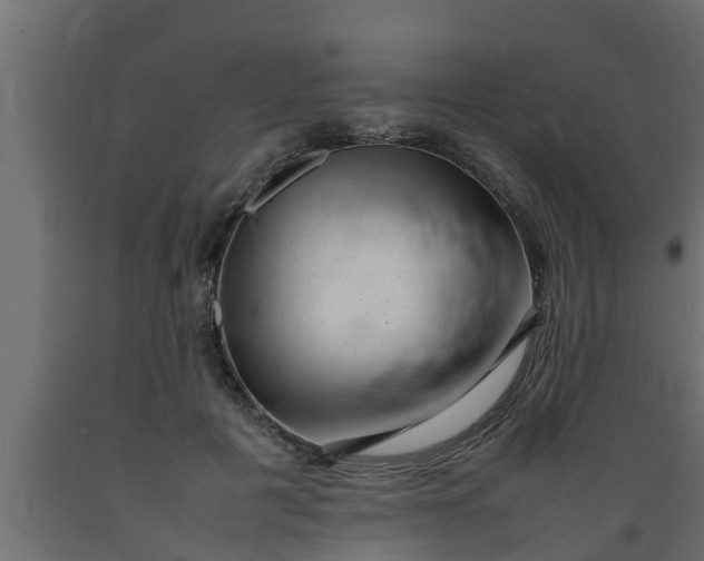 X0000089460601200707061304