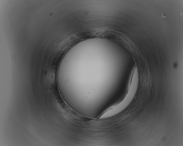 X0000089460602200707061304