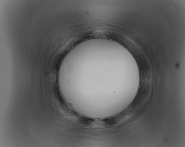X0000089460603200707061304