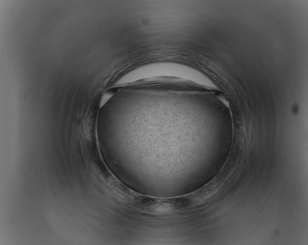 X0000089460604200707061304