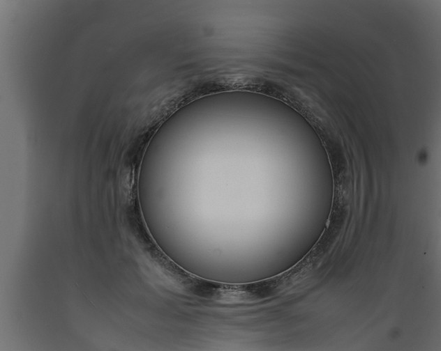 X0000089460605200707061304