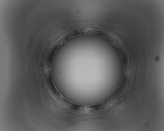 X0000089460607200707061304