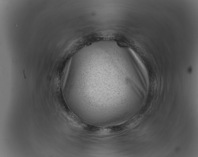 X0000089460609200707061304