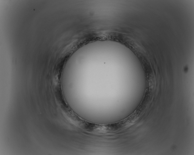 X0000089460611200707061304