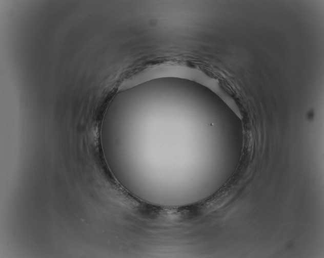 X0000089460613200707061304