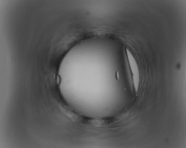 X0000089460615200707061304