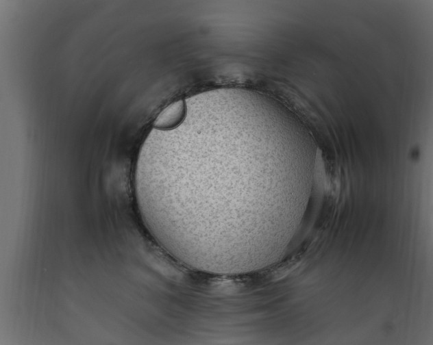 X0000089460616200707061304