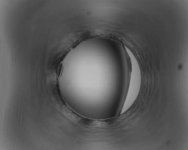 X0000089460617200707061304