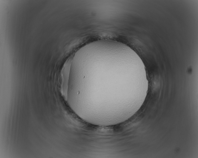 X0000089460619200707061304