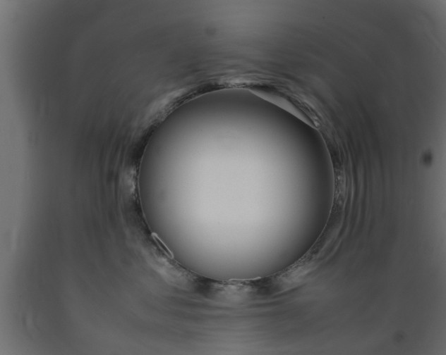 X0000089460621200707061304