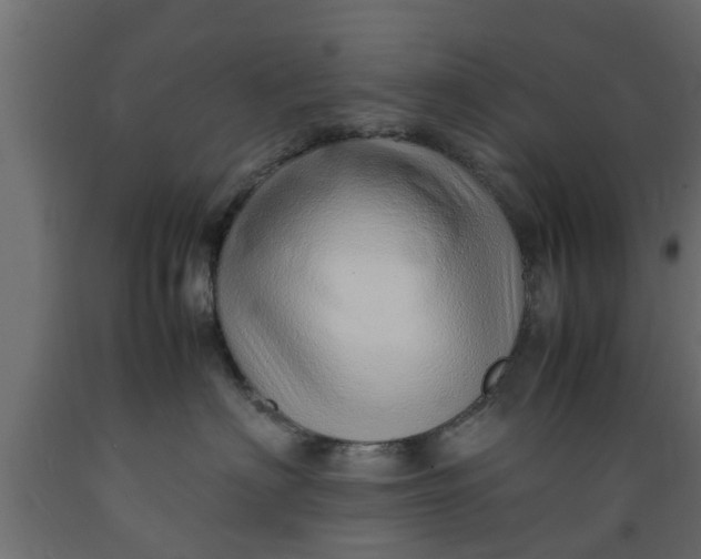 X0000089460622200707061304