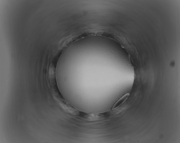 X0000089460623200707061304