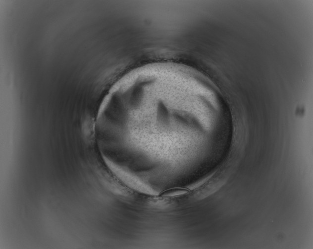 X0000089460624200707061304