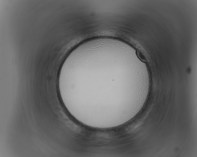 X0000089460625200707061304