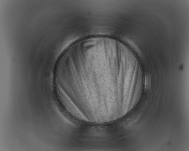 X0000089460627200707061304