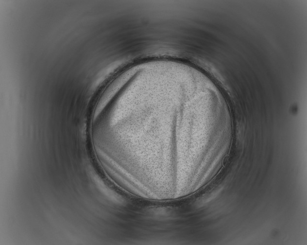 X0000089460629200707061304
