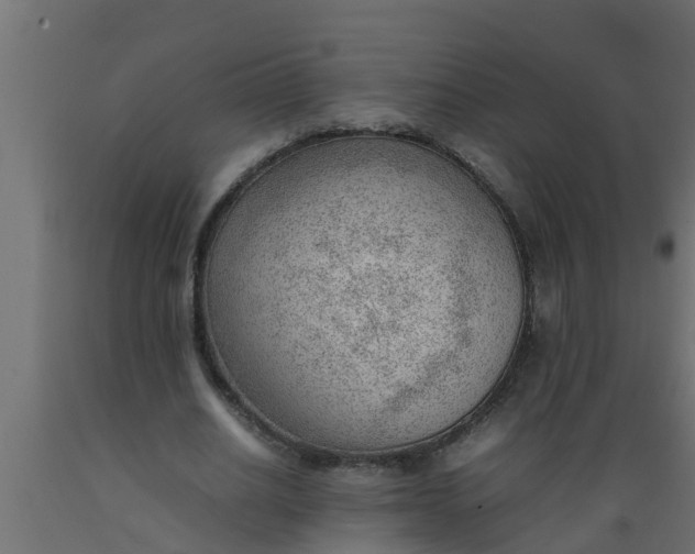 X0000089460630200707061304