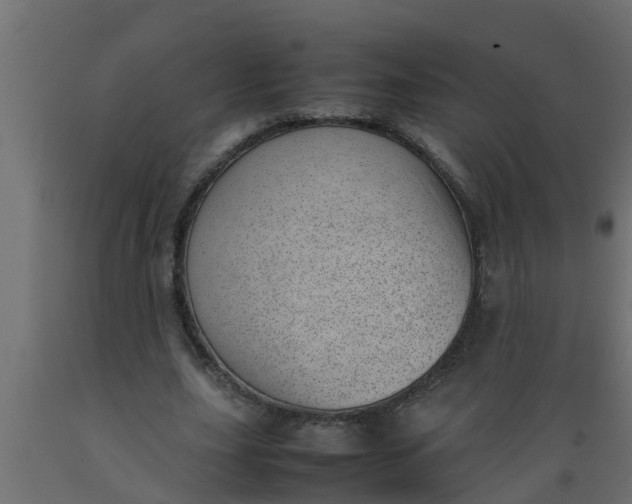 X0000089460631200707061304