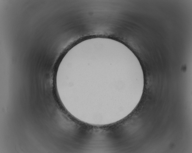 X0000089460632200707061304