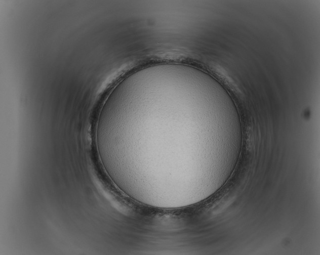 X0000089460634200707061304
