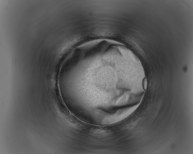 X0000089460635200707061304