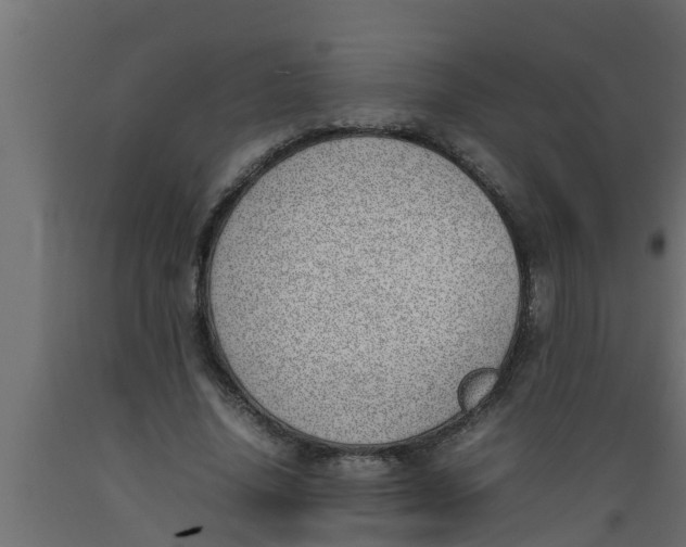 X0000089460636200707061304