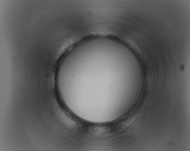 X0000089460638200707061304