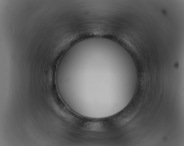 X0000089460639200707061304
