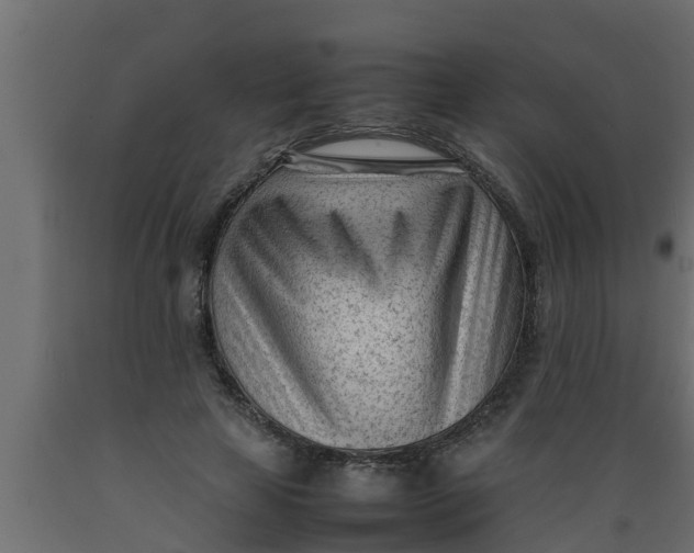 X0000089460641200707061304