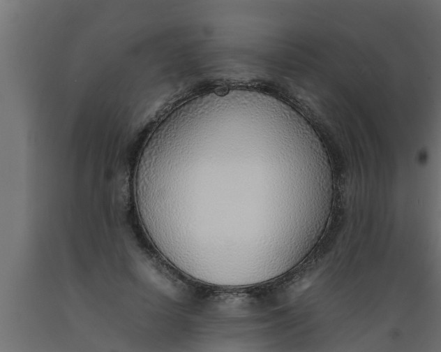 X0000089460642200707061304