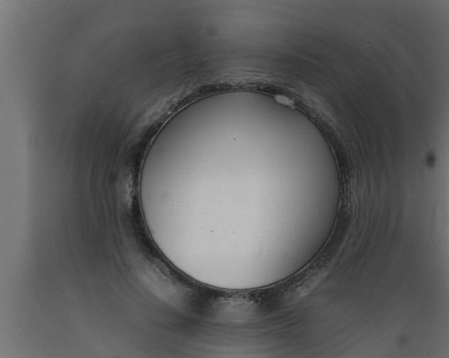 X0000089460644200707061304