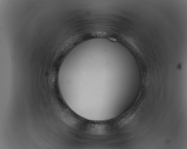X0000089460645200707061304