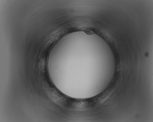 X0000089460646200707061304