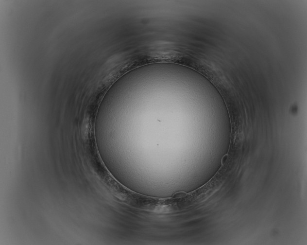 X0000089460647200707061304