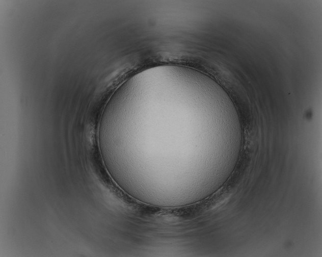 X0000089460648200707061304