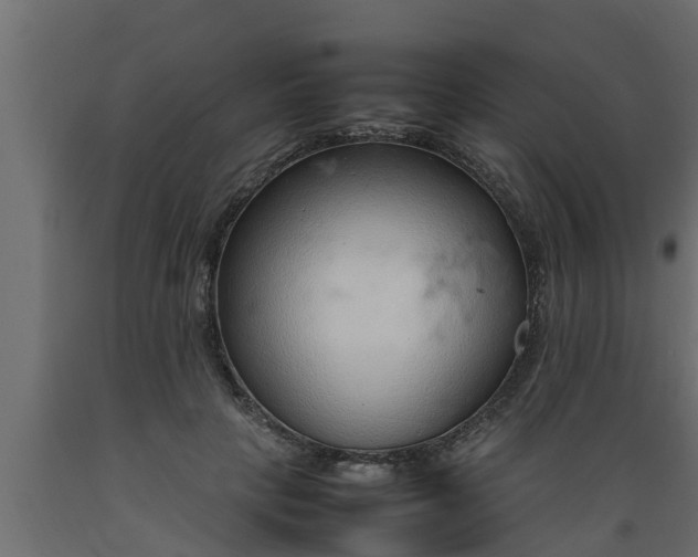 X0000089460649200707061304