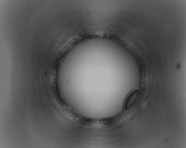 X0000089460656200707061304