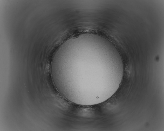 X0000089460657200707061304