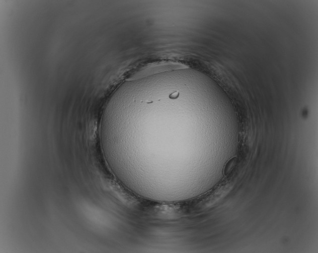 X0000089460660200707061304