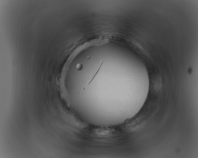 X0000089460661200707061304