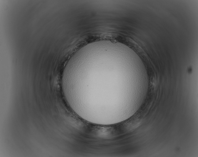 X0000089460663200707061304