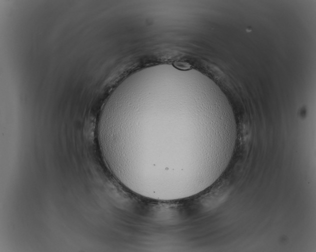 X0000089460664200707061304