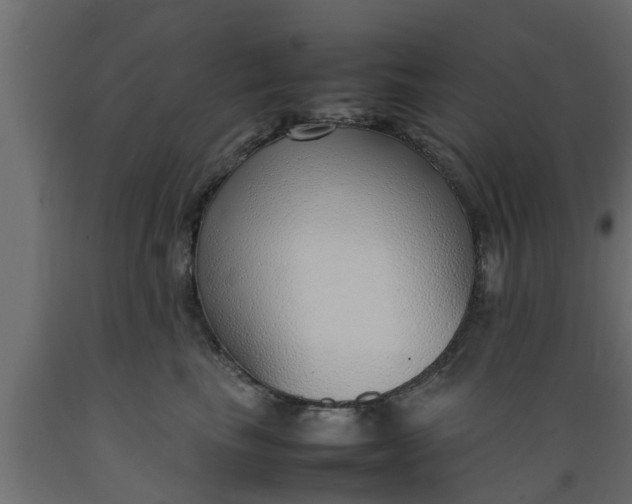 X0000089460665200707061304