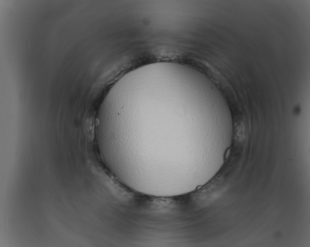 X0000089460666200707061304